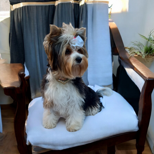 Photoroom-20240921_174817