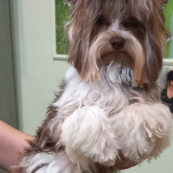 Resized_20220725_203349