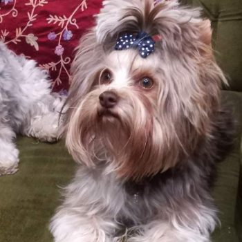 Resized_20230316_203812