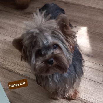 Resized_20230731_150443