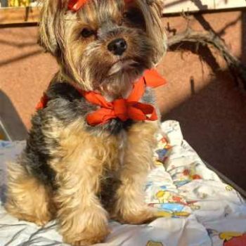 Resized_20250203_144407