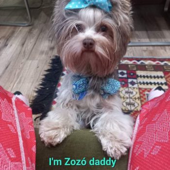 Resized_FB_IMG_1674055965824