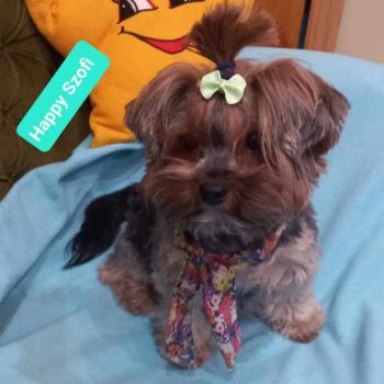 Resized_IMG_20240201_155912_432