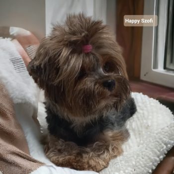 Resized_Photoroom-20240317_140829