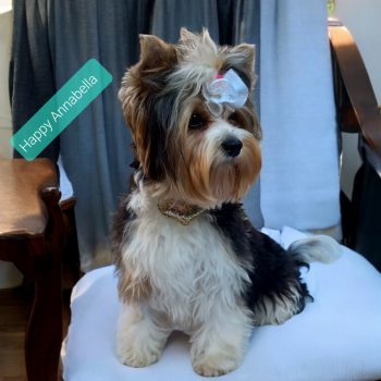 Resized_Photoroom-20240921_174817