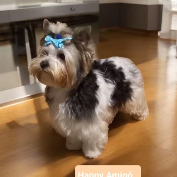 Resized_Photoroom-20241214_184556