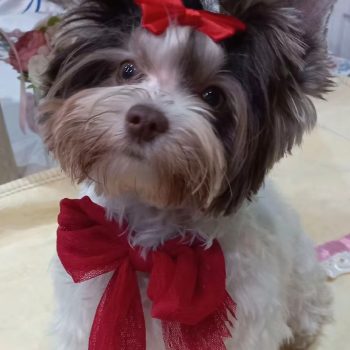 Resized_a67bf8a25ba59c8676d444208560f73a